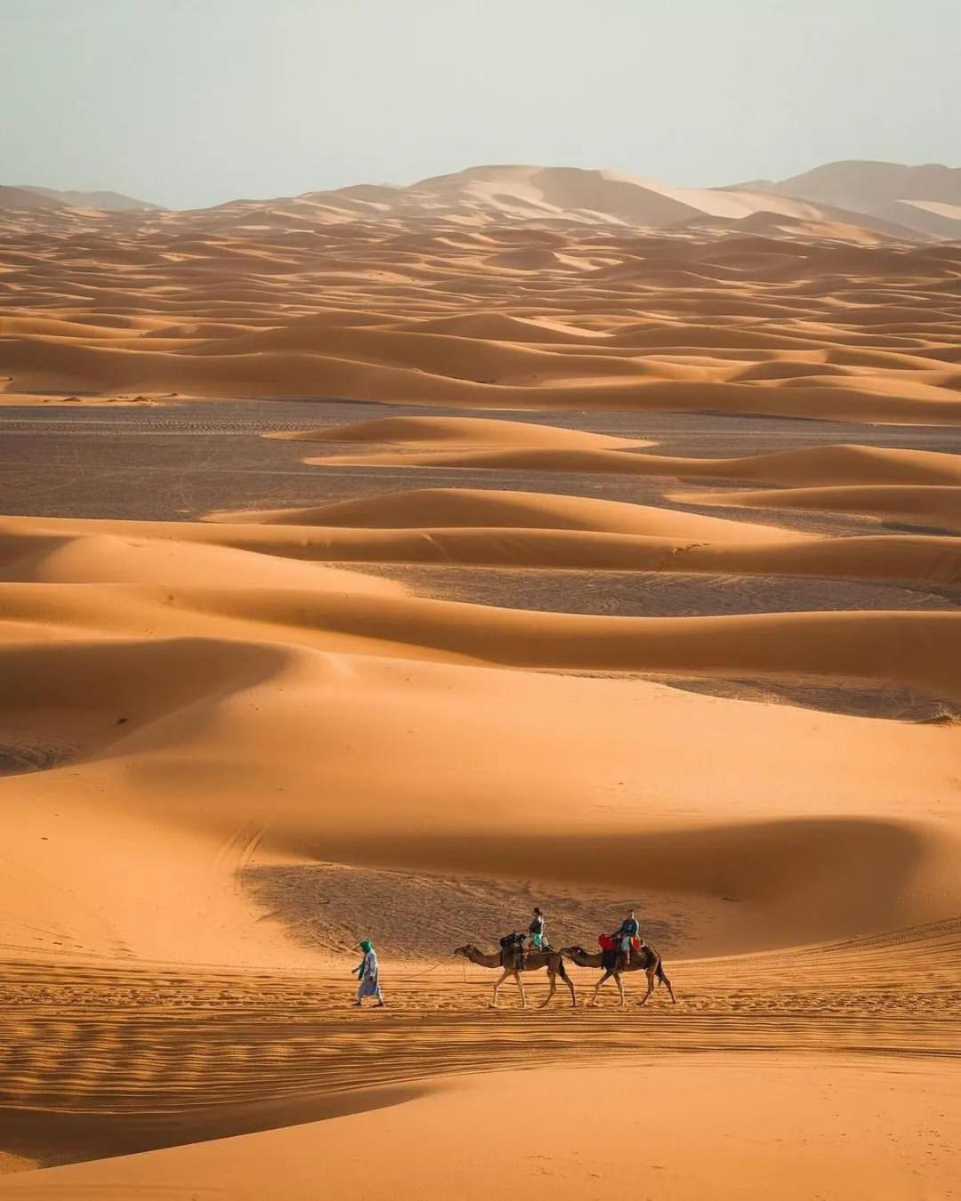 Best camps Merzouga Extérieur photo